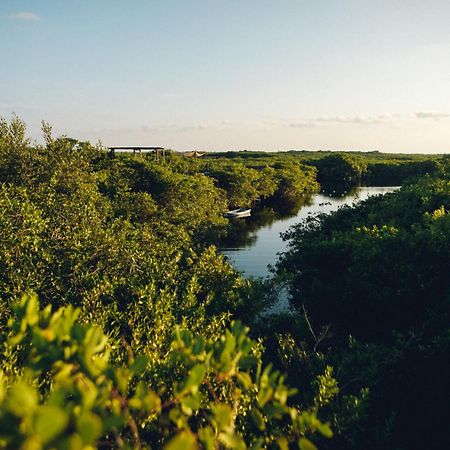 Hotel Uman Glamping & Cenote Tulum Zewnętrze zdjęcie