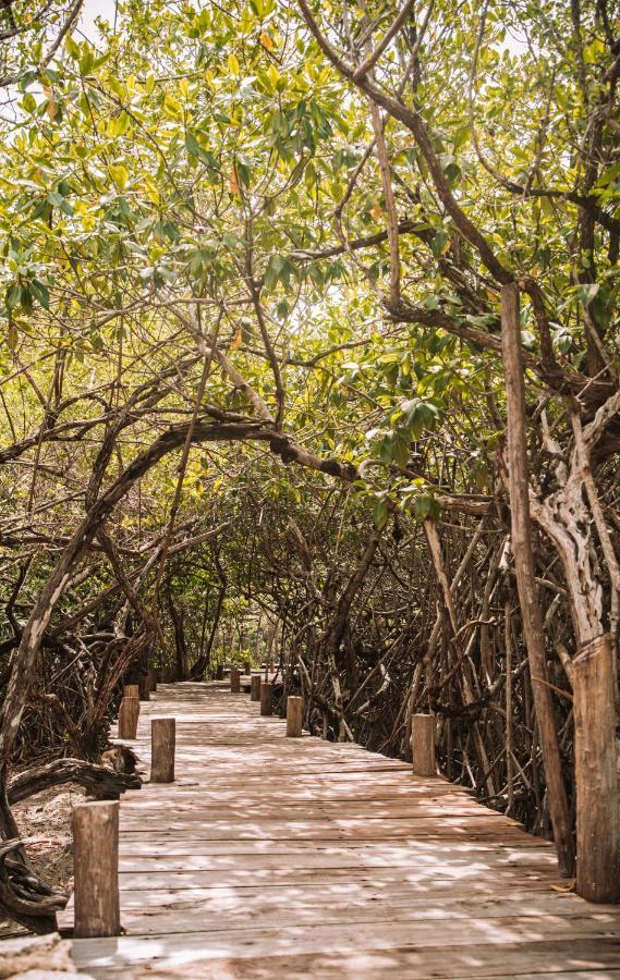Hotel Uman Glamping & Cenote Tulum Zewnętrze zdjęcie