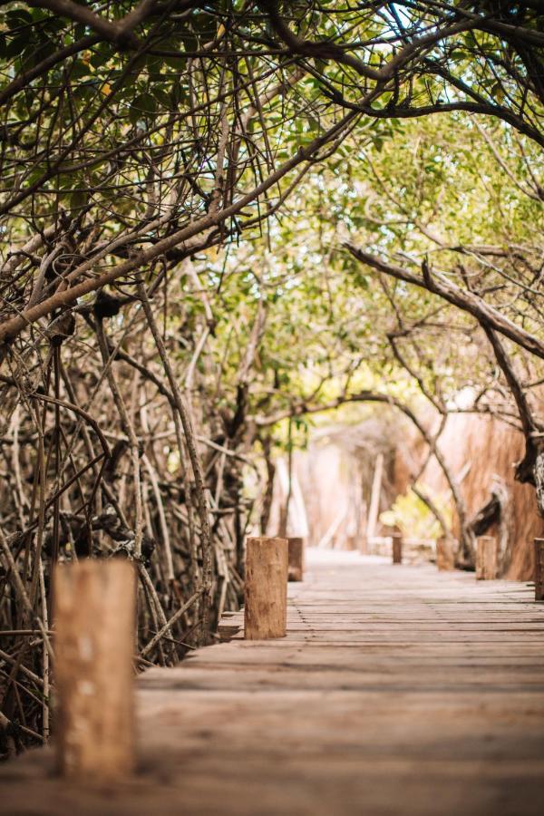 Hotel Uman Glamping & Cenote Tulum Zewnętrze zdjęcie