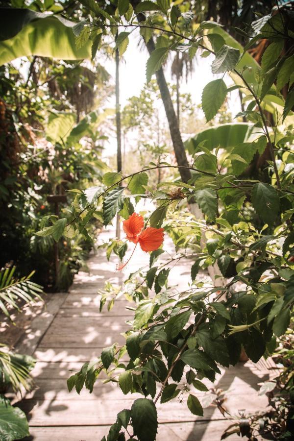 Hotel Uman Glamping & Cenote Tulum Zewnętrze zdjęcie