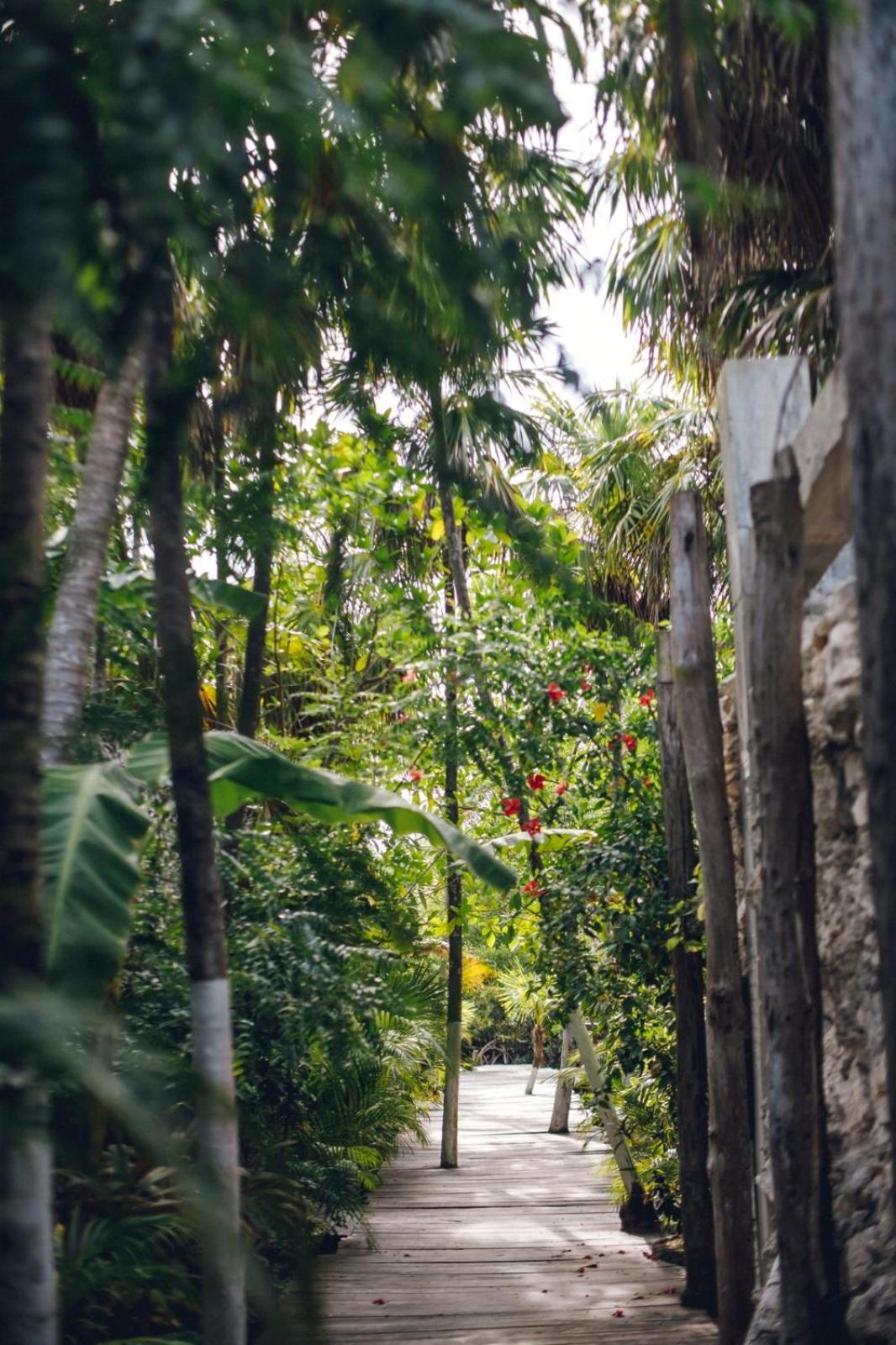 Hotel Uman Glamping & Cenote Tulum Zewnętrze zdjęcie